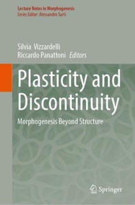 Plasticity and Discontinuity