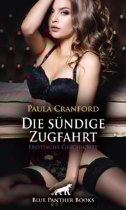 Die sündige Zugfahrt | Erotische Geschichte