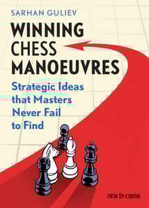 Winning Chess Manoeuvres