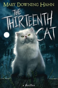 Thirteenth Cat