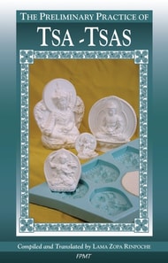 Preliminary Practice of TSA-TSAS