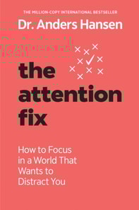 Attention Fix