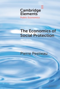 Economics of Social Protection