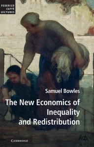 New Economics of Inequality and Redistribution
