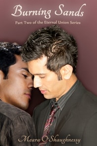 Burning Sands (gay romance)