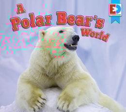 Polar Bear's World