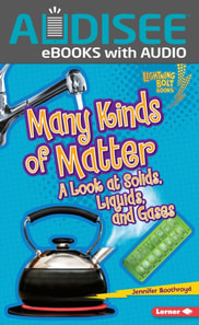 Many Kinds of Matter