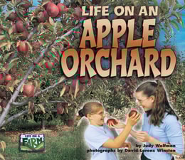Life on an Apple Orchard