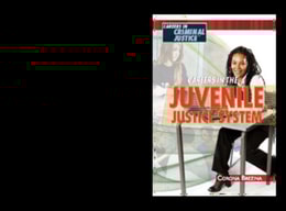 Careers in the Juvenile Justice System