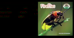 Fireflies