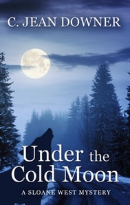 Under the Cold Moon
