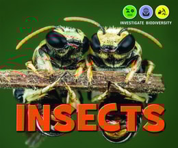 Insects