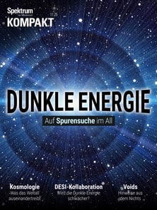 Spektrum Kompakt - Dunkle Energie