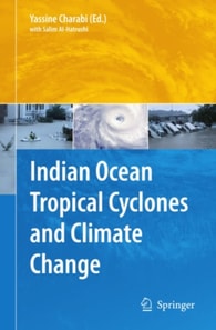 Indian Ocean Tropical Cyclones and Climate Change
