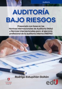Auditoría bajo riesgos
