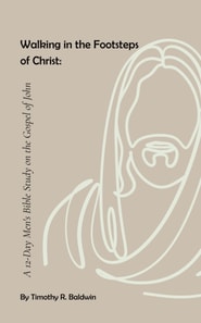 Walking in the Footsteps  of Christ: A 12-Day Men's Bible Study on the Gospel of John