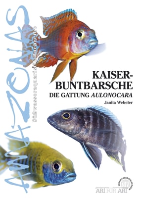 Kaiserbuntbarsche