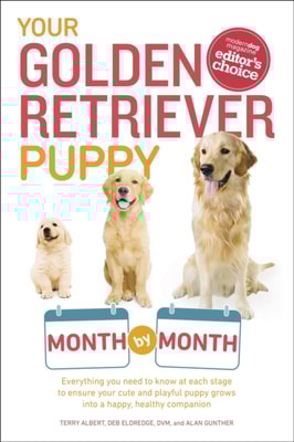Your Golden Retriever Puppy Month by Month