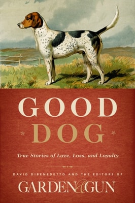 Good Dog