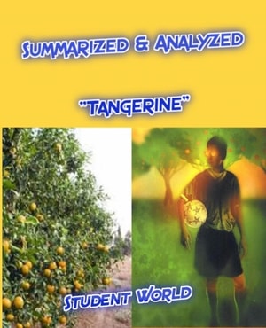 Summarized & Analyzed &quote;Tangerine&quote;