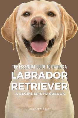 Essential Guide to Owning a Labrador Retriever: A Beginner's Handbook
