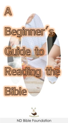 Beginner's Guide to Reading the Bible