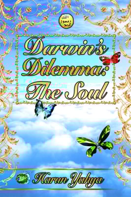 Darwin's Dilemma: The Soul