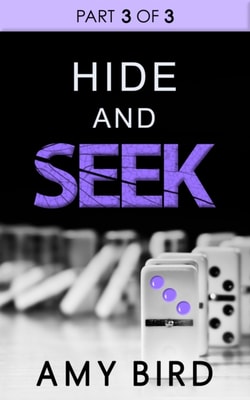 Hide And Seek (Part 3)