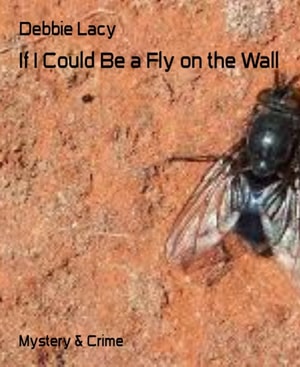 If I Could Be a Fly on the Wall