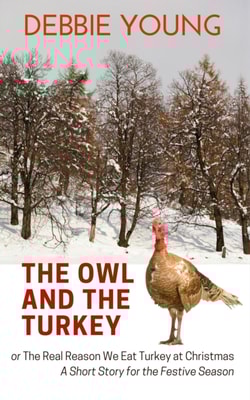 Owl and The Turkey