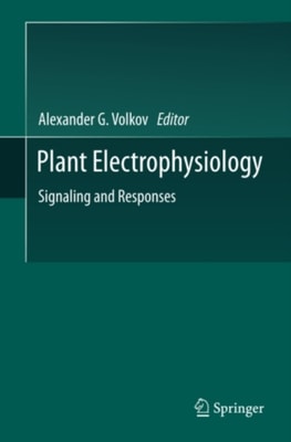 Evolutionary Computation in Combinatorial Optimization