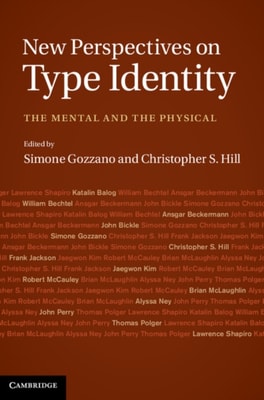 New Perspectives on Type Identity