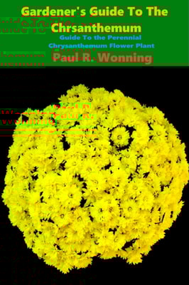 Gardener's Guide to the Perennial Chrysanthemum