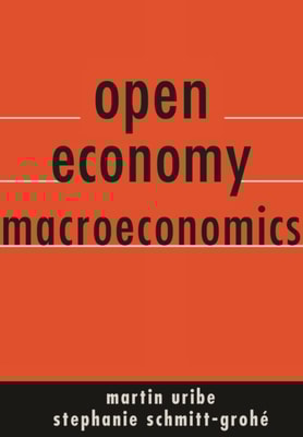 Open Economy Macroeconomics