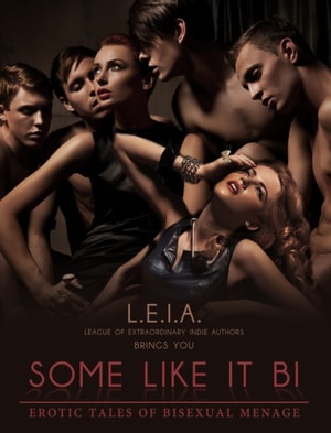 Some Like it Bi: Erotic Tales of Bisexual Menage
