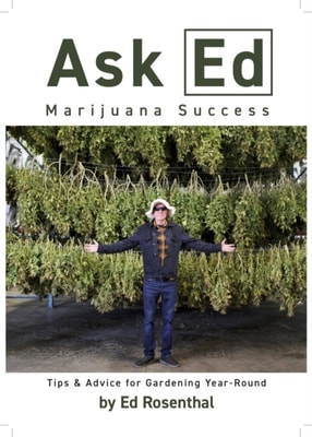 Ask Ed: Marijuana Success
