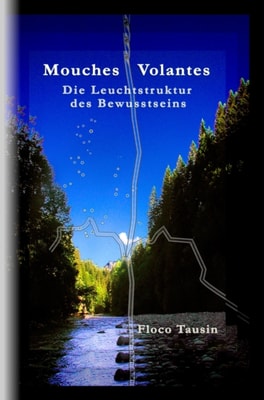 Mouches Volantes: Die Leuchtstruktur des Bewusstseins