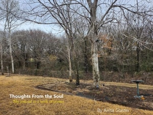 Thoughts From The Soul:  My Journal In A Book Of Poems