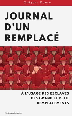 Journal d'un Remplace