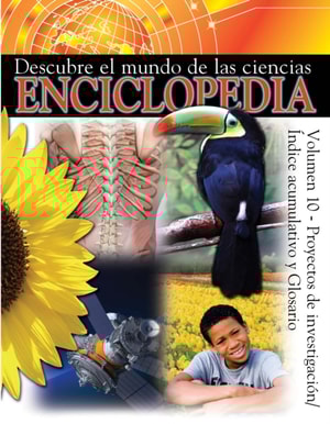 Proyectos De Investigacíon/ Indice Acumulative Y Glosario