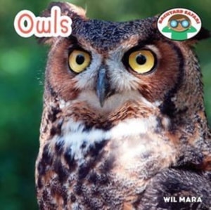 Owls