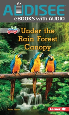 Under the Rain Forest Canopy