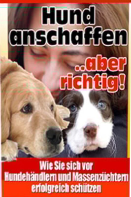 Hund anschaffen-aber richtig