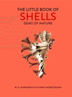 Little Book of Shells