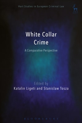 State Responsibility, Climate Change and Human Rights under International Law