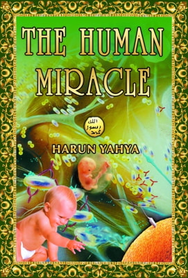 Human Miracle