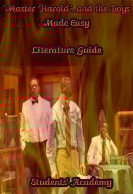&quote;Master Harold&quote;...and the Boys Made Easy: Literature Guide