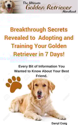 Ultimate Golden Retriever Handbook