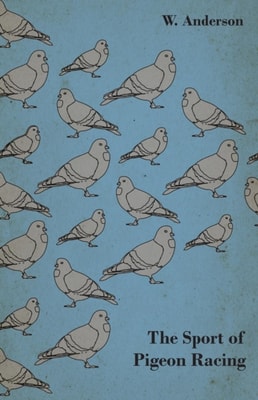 Sport of Pigeon Racing
