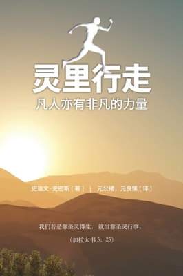 Spirit Walk (Special Edition) [Chinese] 灵里行走